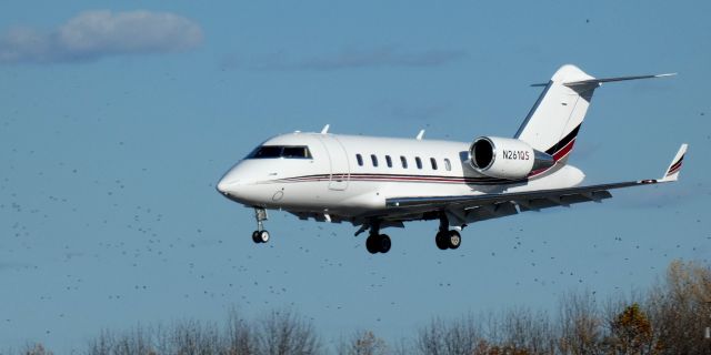 Challenger 604 N261QS
