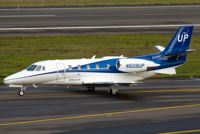 Citation XLS N509UP