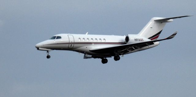 Citation Longitude N816QS